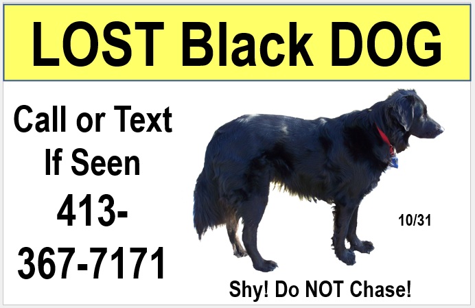 Example yard sign for lost dog