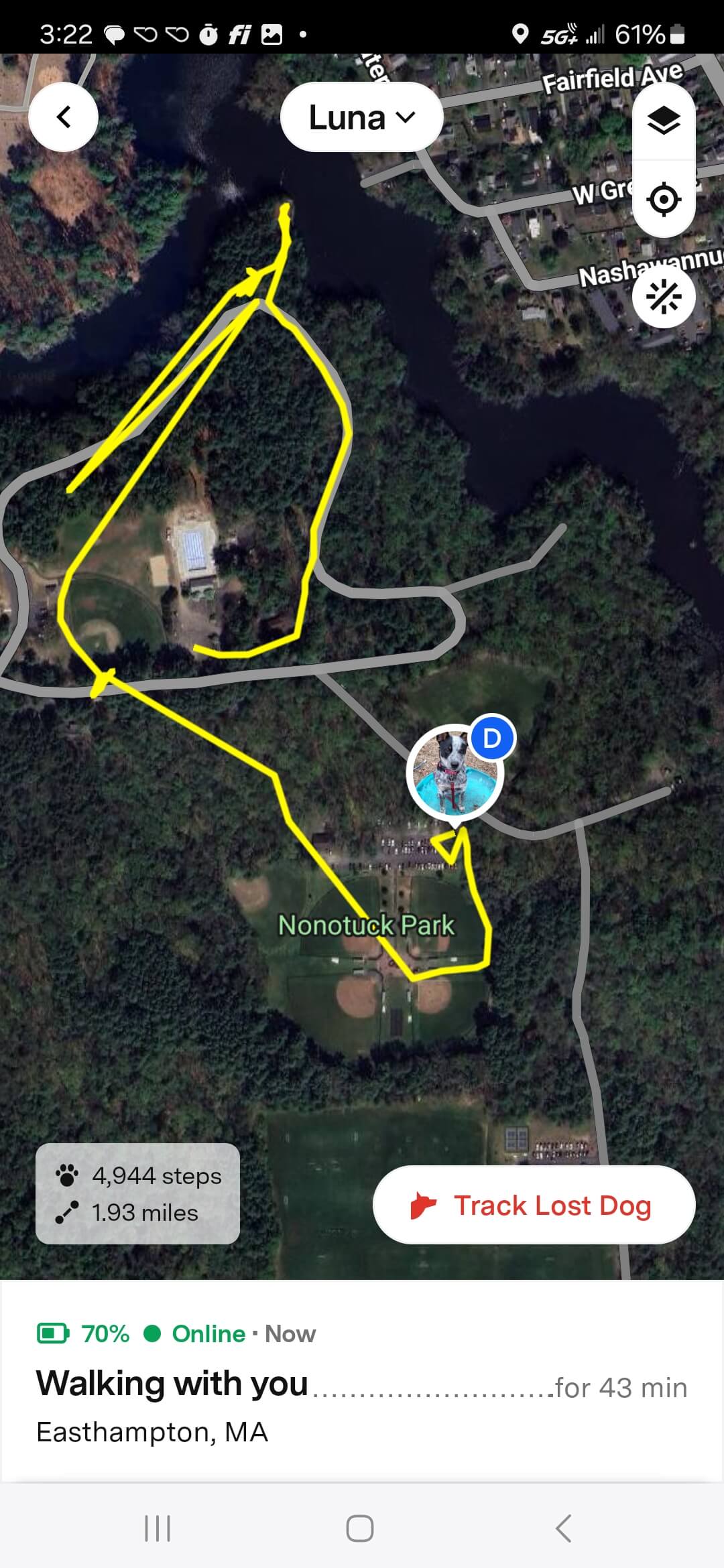 Fi 3 GPS track recorded during Lost Dog Mode.
